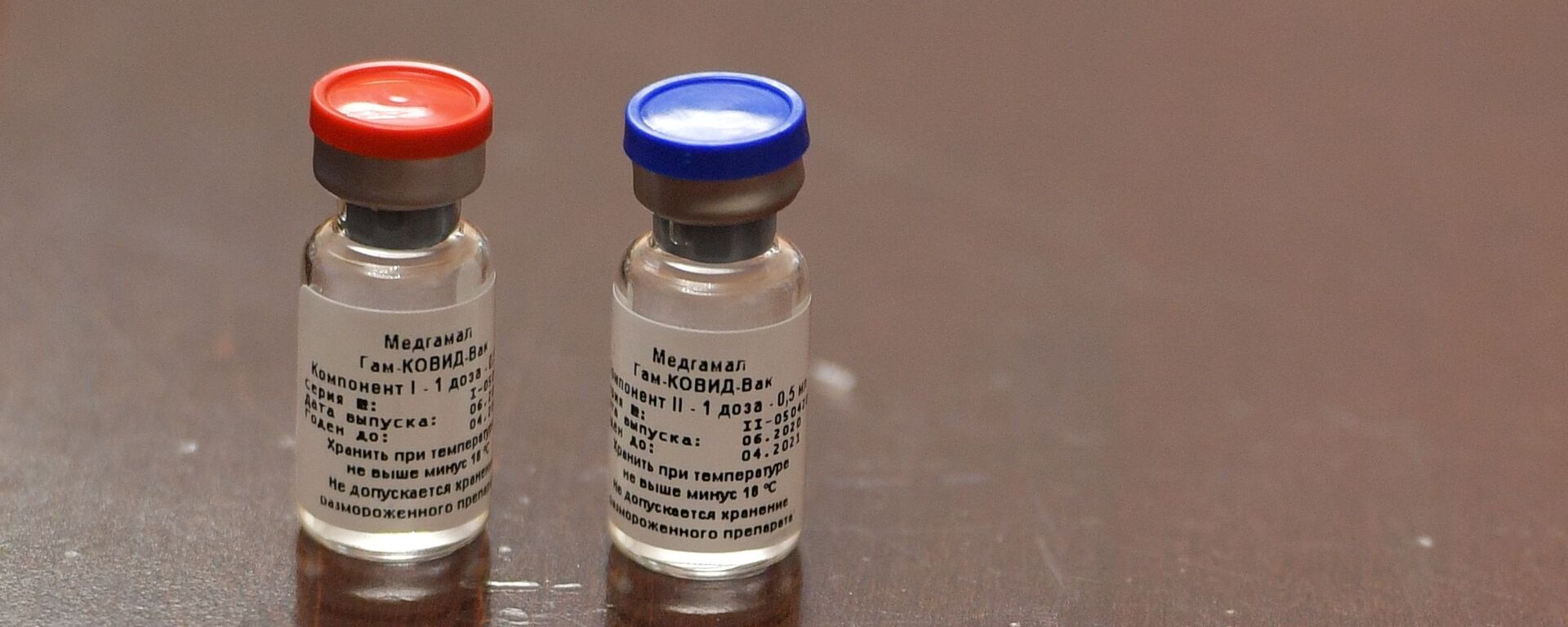 Брифинг, посвященный первой в мире зарегистрированной вакцине от COVID-19 - Sputnik Армения, 1920, 10.08.2021