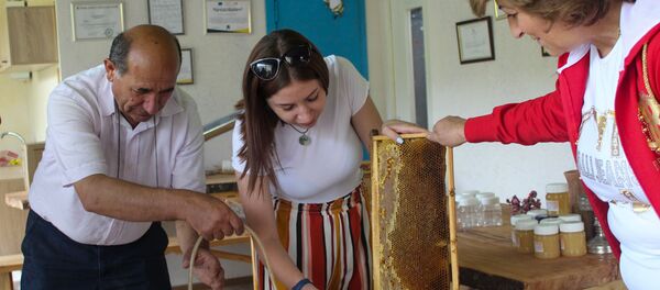 Фестиваль Мегракам проходит в селе Мартуни общины Чамбарак Гегаркуникской области (15 августа 2020). - Sputnik Արմենիա