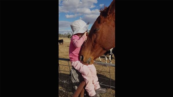 3-летний ребенок поет для лошади - Sputnik Արմենիա