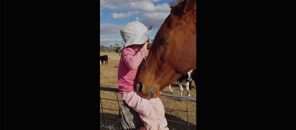 3-летний ребенок поет для лошади - Sputnik Армения