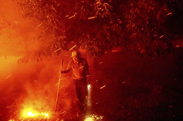 84-летний Билл Николс пытается спасти свой дом во время лесных пожаров в Вакавилле, Калифорния - Sputnik Армения