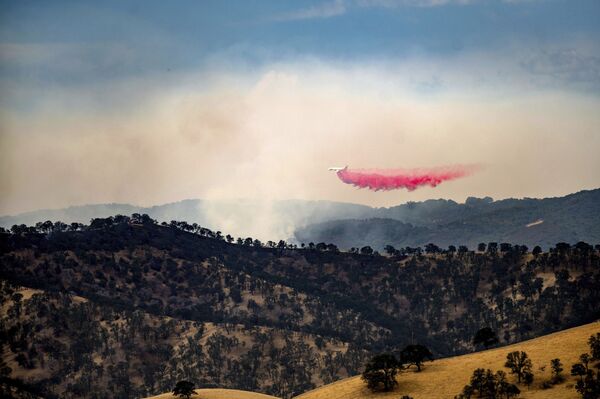Тушение лесного пожара в округе Контра-Коста в Калифорнии - Sputnik Армения