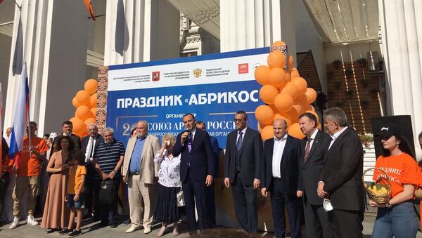 Ежегодный многонациональный праздник «Абрикос» (21 августа 2020). Москва - Sputnik Армения