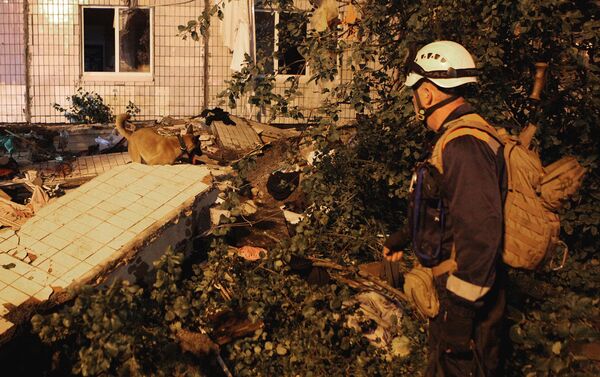 Поисковая собака МЧС РФ работает на месте взрыва бытового газа в жилом доме №5 по улице Батова (21 августа 2020). Ярославль - Sputnik Армения