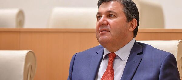 Депутат от правящей партии Грузинская мечта - демократическая Грузия Энзел Мкоян на пленарном заседании парламента Грузии (10 июня 2020). Тбилиси - Sputnik Армения