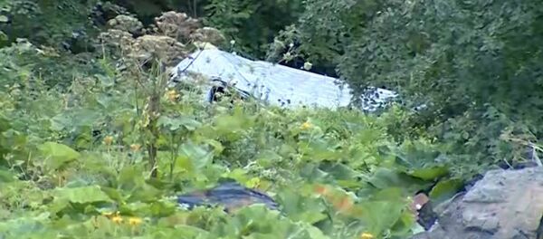 Видео с места страшной трагедии в Шатили: кадры разбитого микроавтобуса Видео с места страшной трагедии в Шатили: кадры разбитого микроавтобуса - Sputnik Արմենիա