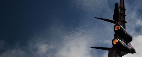 Истребитель МиГ-29 пилотажной группы Стрижи во время демонстрационного полета в рамках форума Армия-2020 Истребитель МиГ-29 пилотажной группы Стрижи во время демонстрационного полета в рамках форума Армия-2020 - Sputnik Армения