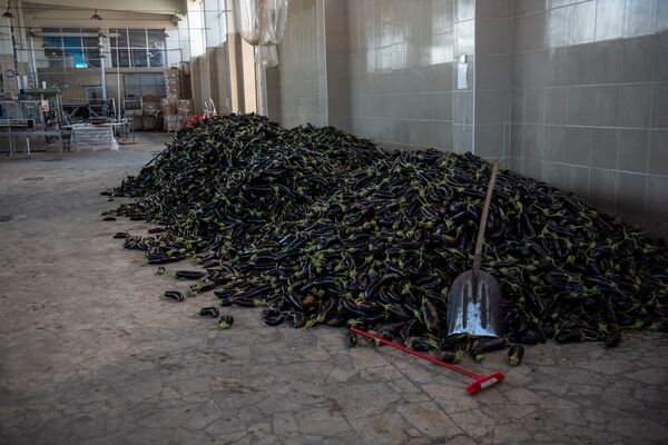 Ад после утреннего кофе: известны новые подробности взрыва и пожара в Прошянском заводе - Sputnik Армения