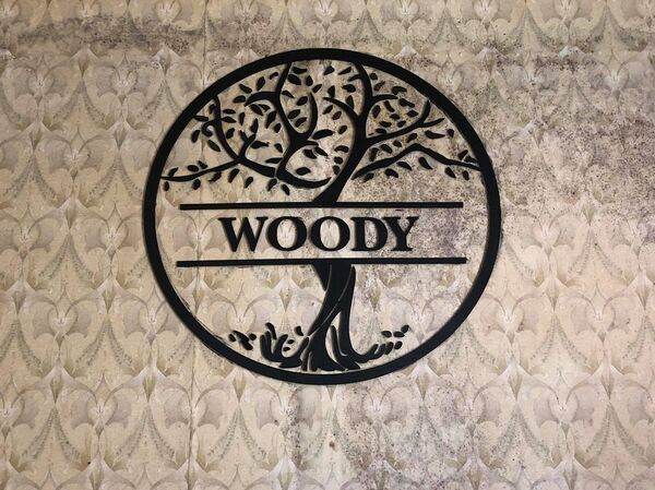 Армянский умелец делает неповторимые эко-игрушки - Sputnik Армения