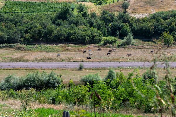Азербайджанцы летали из Тавуша в Ереван: как аэропорт Берда превратился в линию фронта Азербайджанцы летали из Тавуша в Ереван: как аэропорт Берда превратился в линию фронта - Sputnik Армения