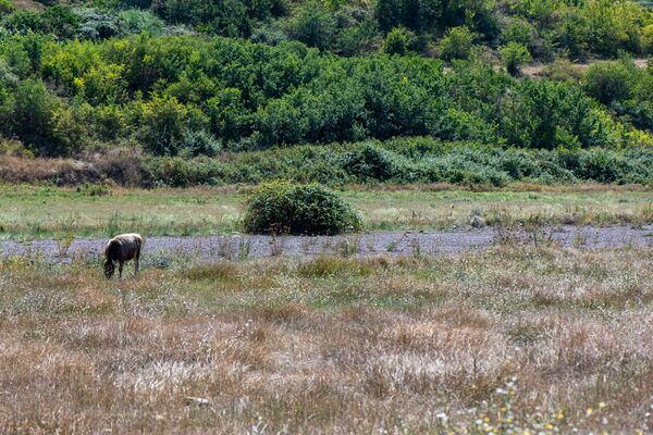 Ադրբեջանցիները Շամշադինից Երևան էին թռչում. ի՞նչ պատահեց Բերդի օդանավակայանի հետ - Sputnik Արմենիա