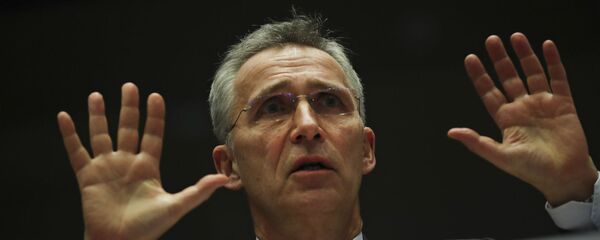 Генеральный секретарь НАТО Йенс Столтенберг обращается к членам комитета по иностранным делам Европейского парламента (21 января 2020). Брюссель - Sputnik Армения