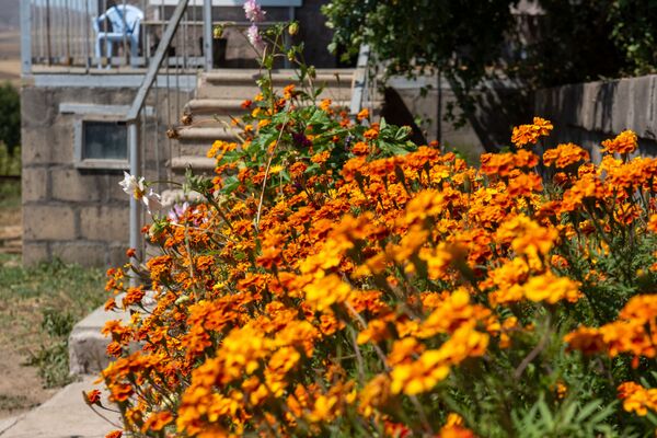 Накануне потопа, или Почему в армянском селе Джрадзор случился брачный бум - Sputnik Армения