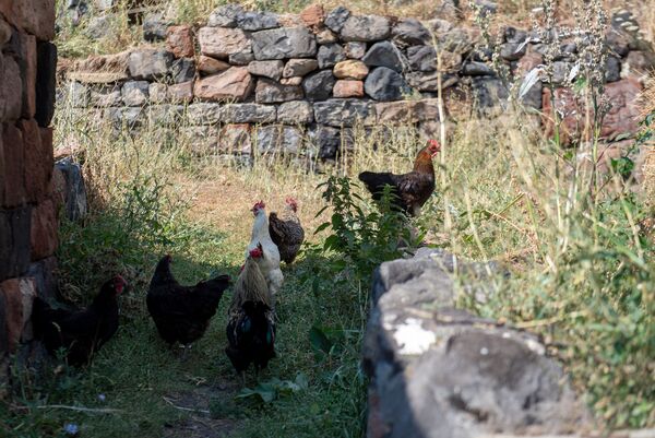 Накануне потопа, или Почему в армянском селе Джрадзор случился брачный бум - Sputnik Армения