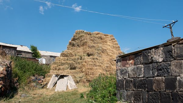 Сено у скотного двора в селе Джрадзор в Ширакской области - Sputnik Армения