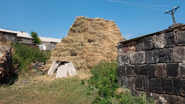 Сено у скотного двора в селе Джрадзор в Ширакской области - Sputnik Армения