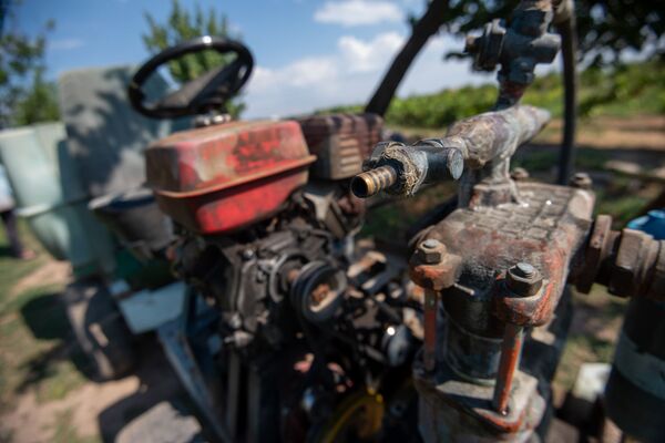 Русская жена, девичья краса винограда и мутант ЕрАз: до чего доводит тоска по Армении - Sputnik Армения