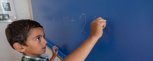 Единственный ученик основной школы села Шагик Арам Овсепян Единственный ученик основной школы села Шагик Арам Овсепян - Sputnik Արմենիա