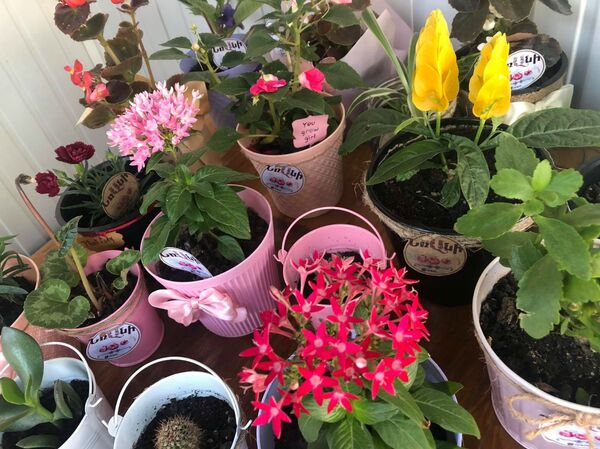 Цветы с сюрпризом: 17-летняя девушка из Гюмри открыла свой бизнес в период пандемии - Sputnik Армения