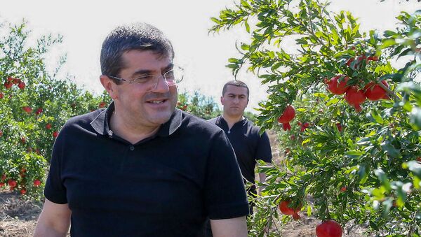 Президент Карабаха Араик Арутюнян посетил фермерские хозяйства республики (13 сентября 2020). Акна - Sputnik Армения