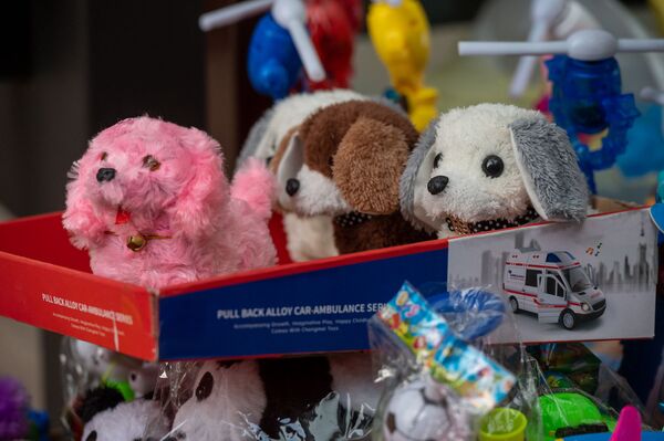 Հարկեր փուչիկներից և լարովի շնիկներից. որոշել են փողոցային առևտուրն էլ հարկային դաշտ բերել Հարկեր փուչիկներից և լարովի շնիկներից. որոշել են փողոցային առևտուրն էլ հարկային դաշտ բերել - Sputnik Արմենիա