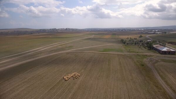 «Մեր օդանավակայանի դեմ խաղ չկար». ինչ կորցրեց քյավառցին, երբ թռիչքները «վերևից» դադարեցրին - Sputnik Արմենիա