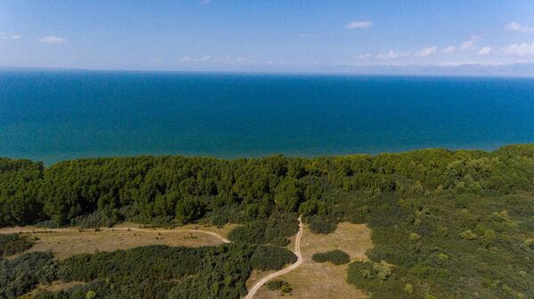 «Մինսկ էի մեկնել, վերադարձա՝ օդանավակայանը չկար». ինչու փակվեց Մարտունու «անտառային գոտին» - Sputnik Արմենիա