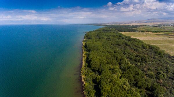 «Մինսկ էի մեկնել, վերադարձա՝ օդանավակայանը չկար». ինչու փակվեց Մարտունու «անտառային գոտին» - Sputnik Արմենիա