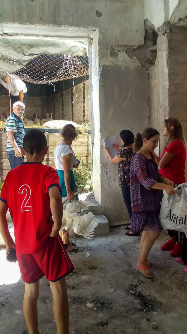 Птицеводы Армении раздали несушек 50 семьям, пострадавшим на границе в Айгепаре  - Sputnik Армения