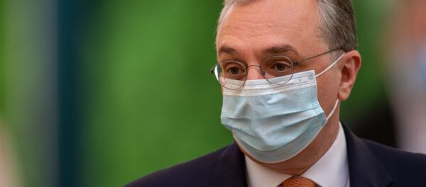 Министр иностранных дел Зограб Мнацаканян перед началом церемонии награждения в честь Дня Независимости Армении (21 сентября 2020). Еревaн - Sputnik Армения