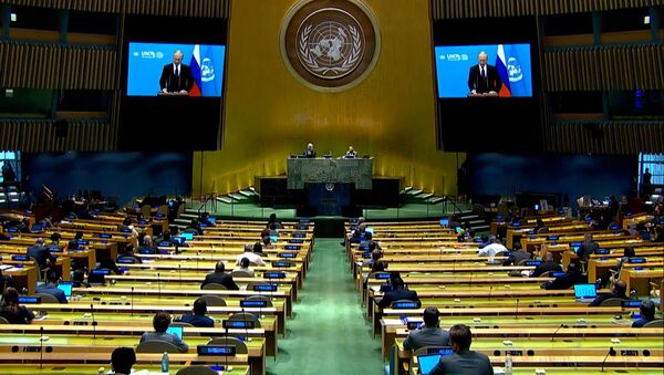 Совбез ООН хотят расширить. Что поменять, а что лучше оставить, чтобы сохранить мир - Sputnik Армения