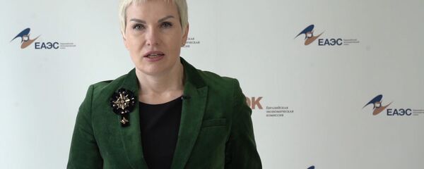 Помощник председателя Коллегии ЕЭК Ия Малкина во время брифинга - Sputnik Армения