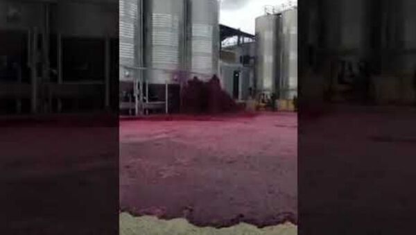 На винодельне Bodegas Vitivinos в Испании произошел разрыв огромного винного резервуара емкостью 50 000 литров - Sputnik Армения
