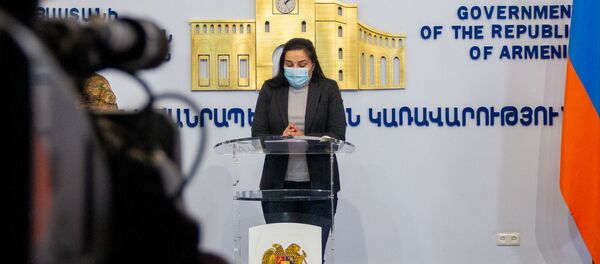 Анна Нагдалян на брифинге с участием Арцруна Ованнисяна (27 сентября 2020). Еревaн Анна Нагдалян на брифинге с участием Арцруна Ованнисяна (27 сентября 2020). Еревaн - Sputnik Արմենիա