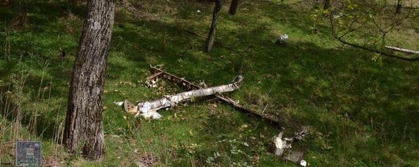 Уничтоженный Армией Обороны Карабаха азербайджанский БПЛА Уничтоженный Армией Обороны Карабаха азербайджанский БПЛА - Sputnik Արմենիա