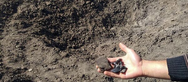 Житель села Норакерт Гехаркуникской области Лерник у поля, на которое упал БПЛА - Sputnik Արմենիա