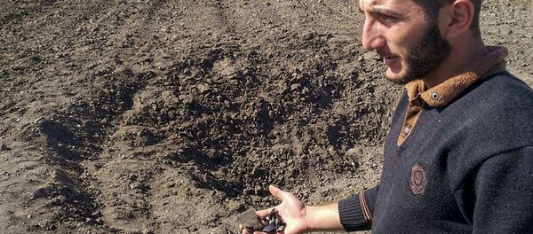 Житель села Норакерт Гегаркуникской области Лерник у поля, на которое упал БПЛА - Sputnik Армения
