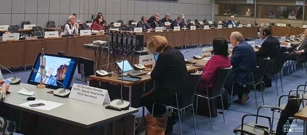 Специальное заседание постоянного совета ОБСЕ по вопросу обсуждения ситуации в Карабахе (29 сентября 2020). Вена Специальное заседание постоянного совета ОБСЕ по вопросу обсуждения ситуации в Карабахе (29 сентября 2020). Вена - Sputnik Արմենիա