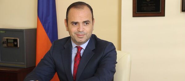 Больше всего добровольцев приезжают из России. Заре Синанян Больше всего добровольцев приезжают из России. Заре Синанян - Sputnik Արմենիա