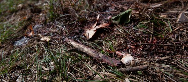 Последствия обстрелов в Мартуни (2 октября 2020). Карабах Последствия обстрелов в Мартуни (2 октября 2020). Карабах - Sputnik Արմենիա