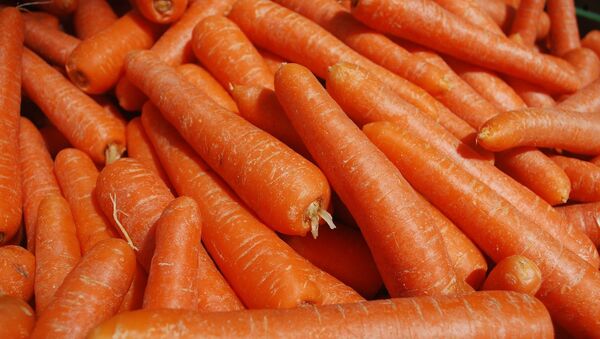 Зачем художник выбросил 29 тонн моркови на лондонскую улицу? - Sputnik Армения