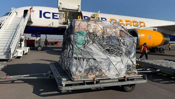 Самолет с 20 тоннами гуманитарного груза из Лос Анжелеса в аэропорту Звартноц (11 октября 2020). Еревaн - Sputnik Армения