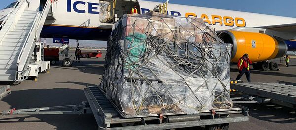 Самолет с 20 тоннами гуманитарного груза из Лос Анжелеса в аэропорту Звартноц (11 октября 2020). Еревaн Самолет с 20 тоннами гуманитарного груза из Лос Анжелеса в аэропорту Звартноц (11 октября 2020). Еревaн - Sputnik Արմենիա