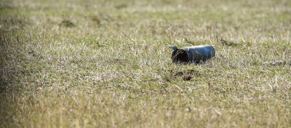 Работы по обезвреживанию снарядов (12 октября 2020). Степанакерт - Sputnik Армения