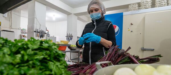 Директор картинной галереи Степанакерта Елена Дадаян-Романова готовит соленья в Армении (25 октября 2020). Ереван - Sputnik Армения