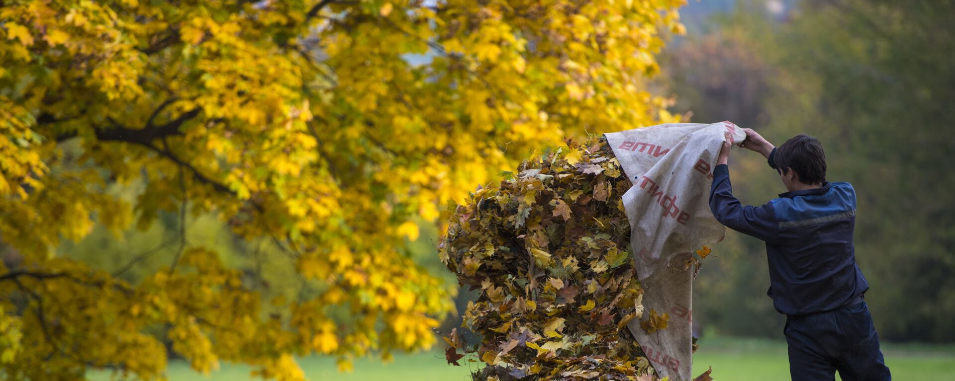 Дворник собирает опавшие с деревьев листья в парке Коломенское в Москве - Sputnik Армения, 1920, 26.10.2020