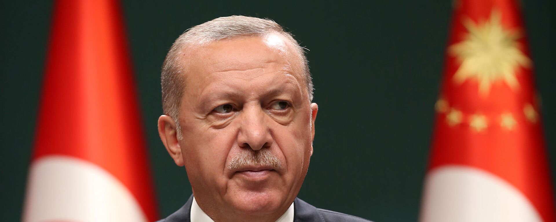 Президент Турции Реджеп Тайип Эрдоган выступает на  заседании кабинета министров в Анкаре (10 августа 2020). Турция - Sputnik Армения, 1920, 18.10.2021