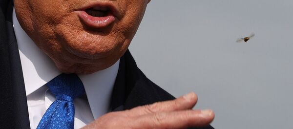 Президент США Дональд Трамп отмахивается от насекомого во время разговора с журналистами перед посадкой на борт Air Force One для предвыборной поездки в Мичиган (27 октября 2020). Вашингтон - Sputnik Արմենիա