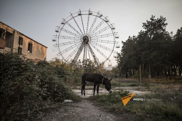 Ослик в парке у колеса обозрения в Мартакерте (30 октября 2020). Карабах - Sputnik Армения