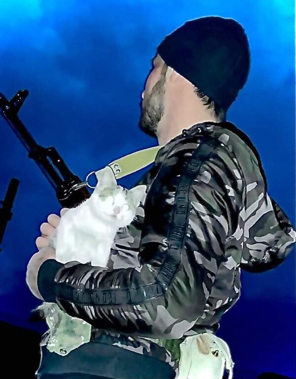 Հայկական բանակի կատուներն ու շները, կամ ինչպես է առաջնագծում փրկում ընկերությունը Հայկական բանակի կատուներն ու շները, կամ ինչպես է առաջնագծում փրկում ընկերությունը - Sputnik Արմենիա